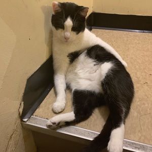 Meet your Posher, Rasheeds